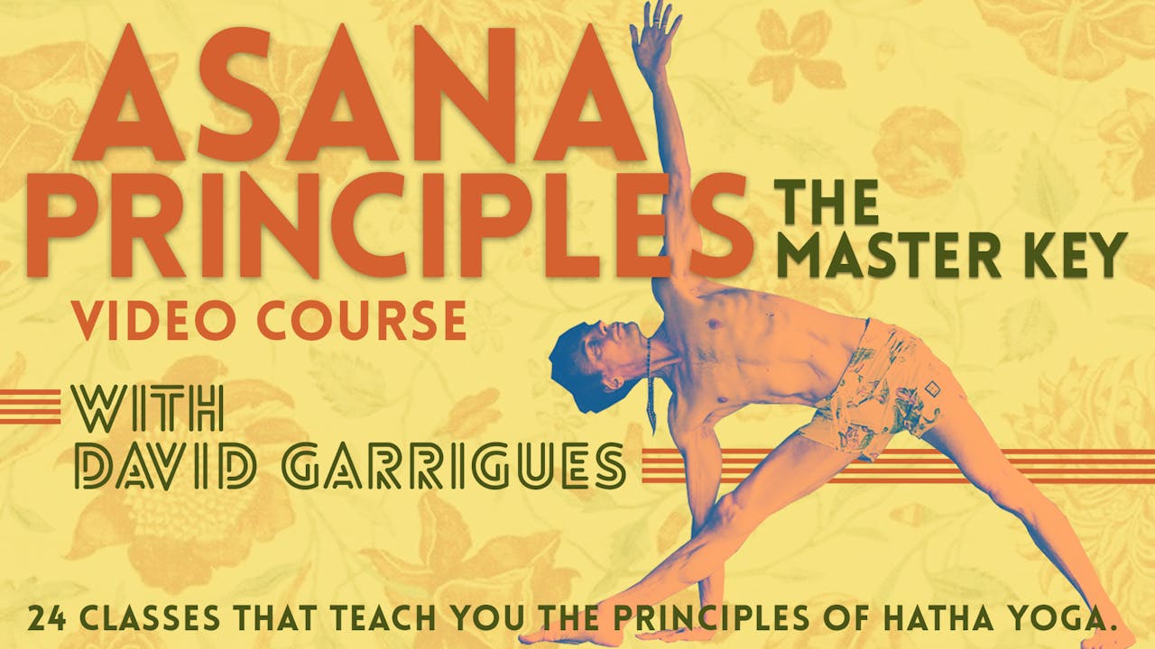 Roots of Hatha Yoga for Ashtanga Teachers