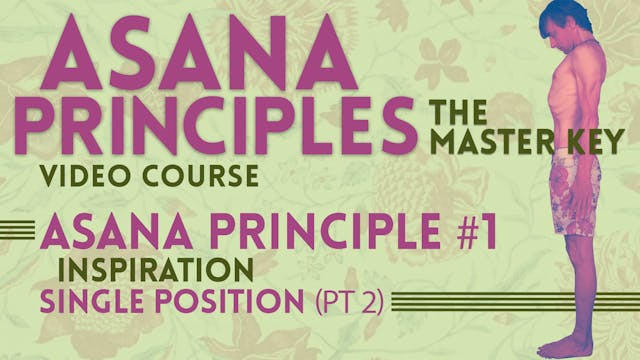 Single Position Principle_Inspiration Part 2