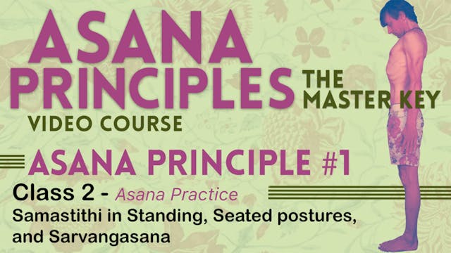 Class 2 - Single Position Principle - Standing, Seated, and Inversions (65 mins)