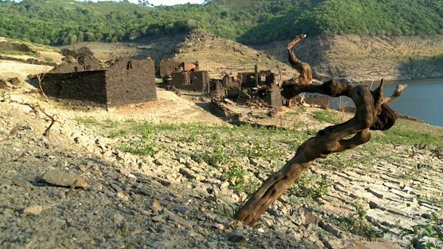 ASOLAGADOS sub Castellano