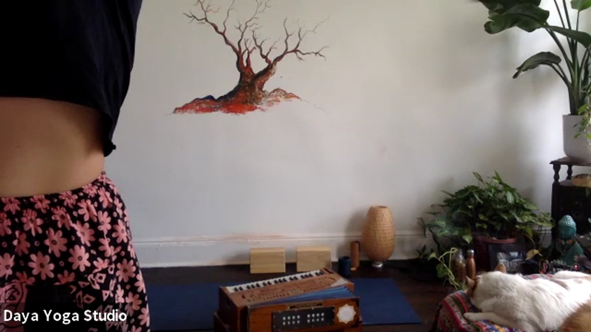 Yoga for Everyone with Ania Lesniak - 04.05.2020