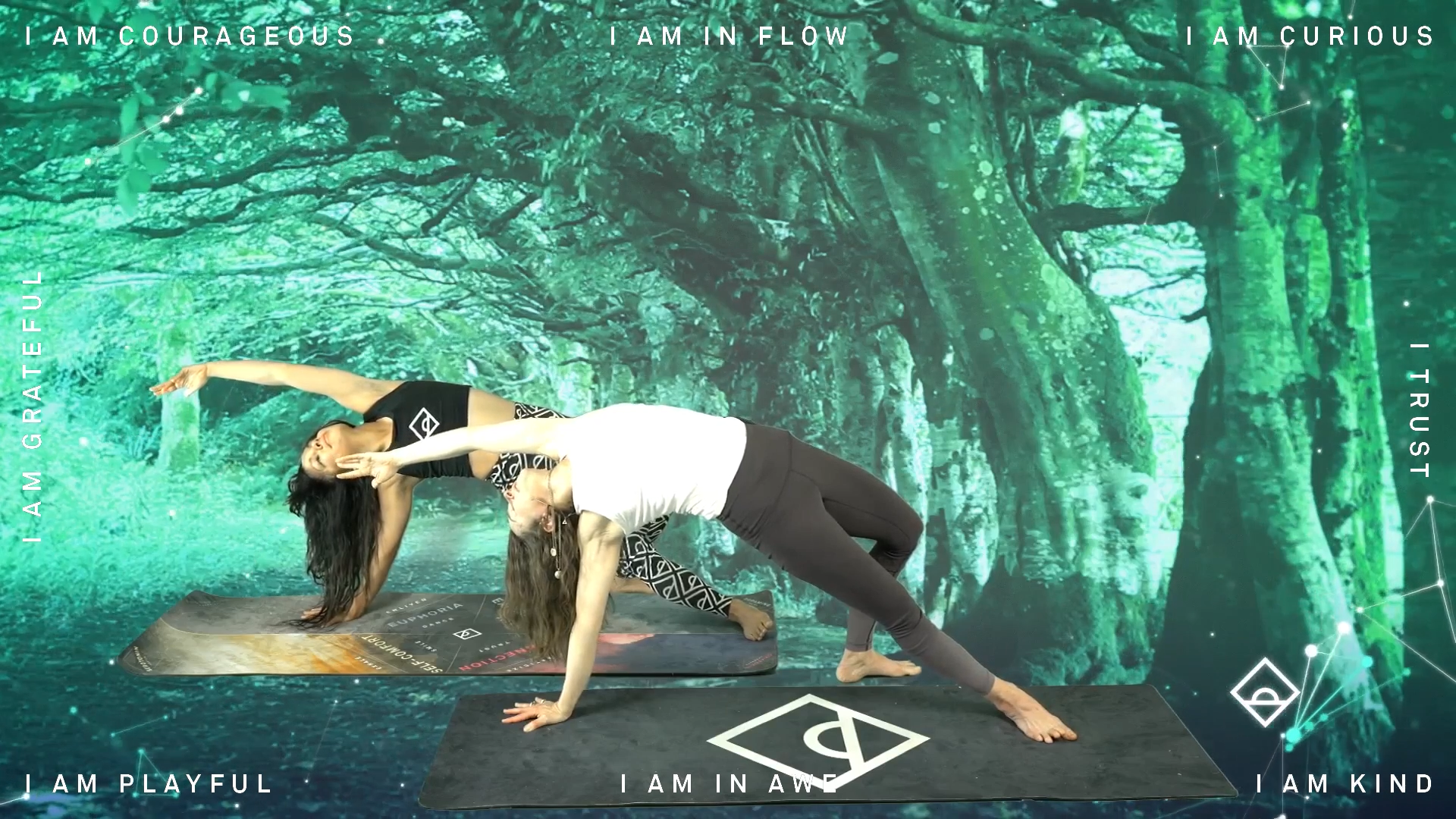 NEW | 22 Min Yoga with Ally | Flow | Dopamine