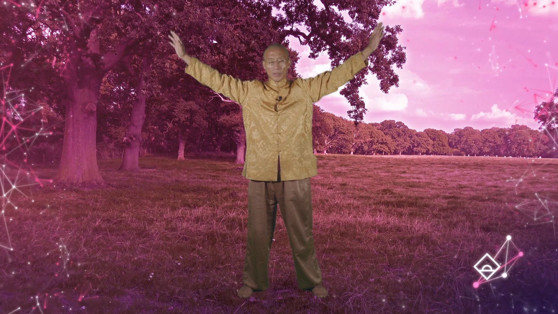 12 Min Qigong with Master Mingtong Gu | Connection | Oxytocin