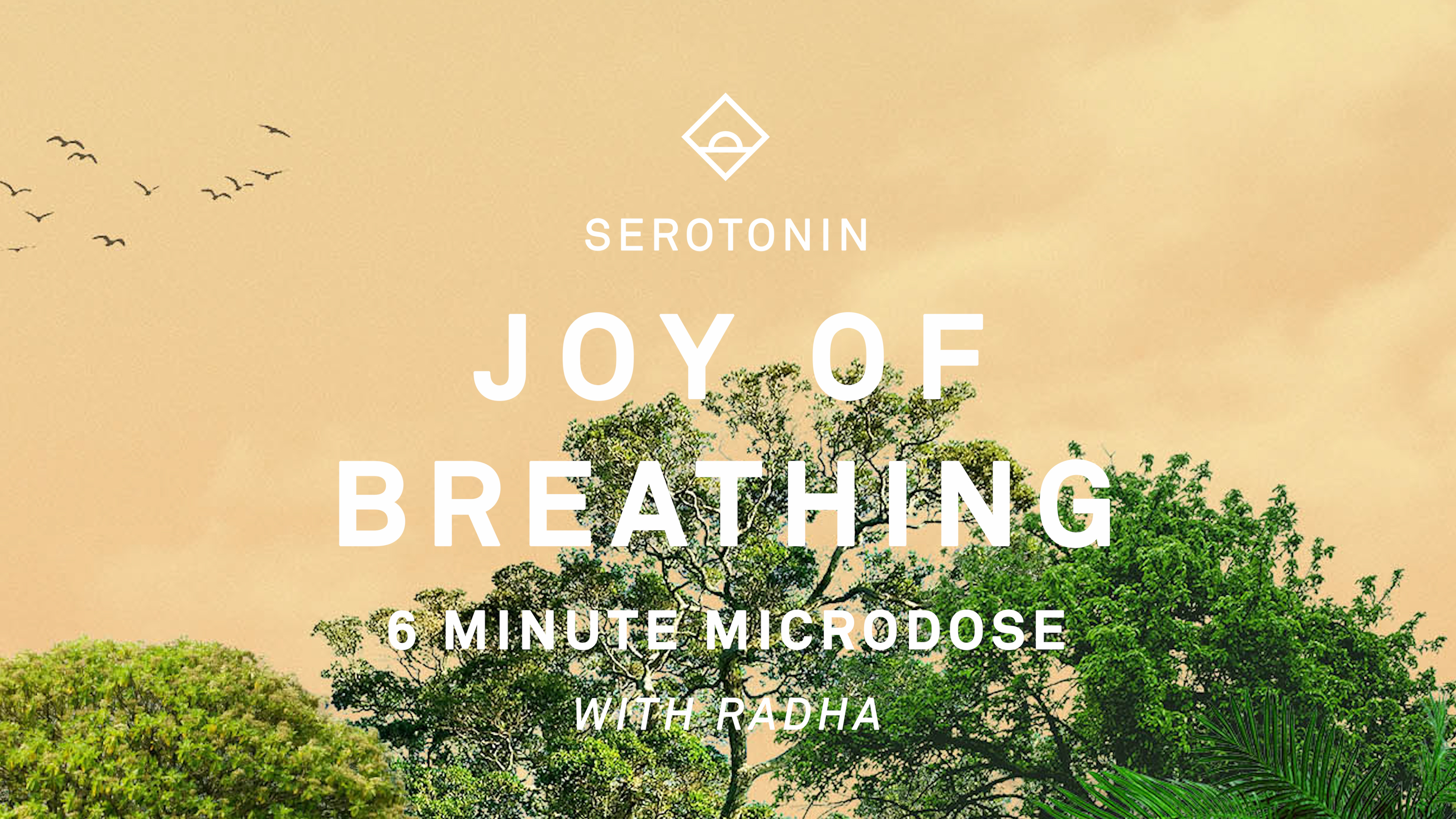 NEW | 6 Min Breathing with Radha | Tune In