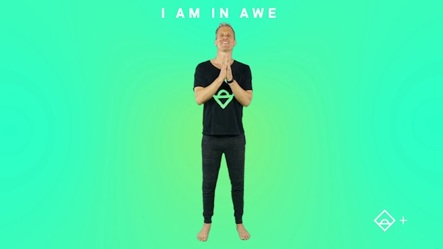 NEW | 11 Min Movement with Dane | Go Inward