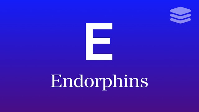 Endorphins: Awe + Play
