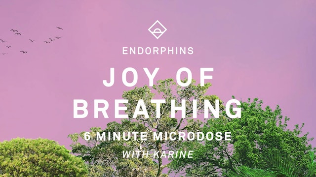NEW | 6 Min Audio Breathing with Karine | Flow