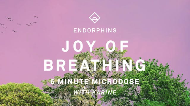 NEW | 6 Min Audio Breathing with Kari...