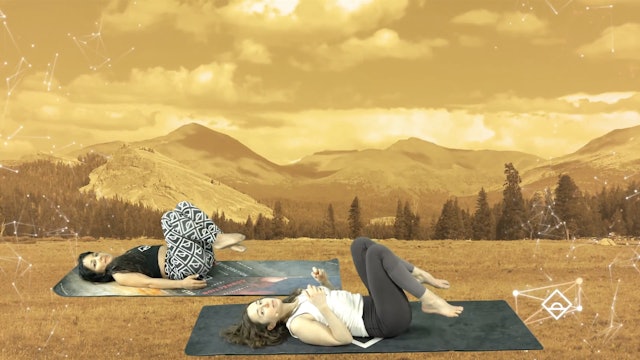 NEW | 11 Min Yoga with Ally | Gratitude | Serotonin
