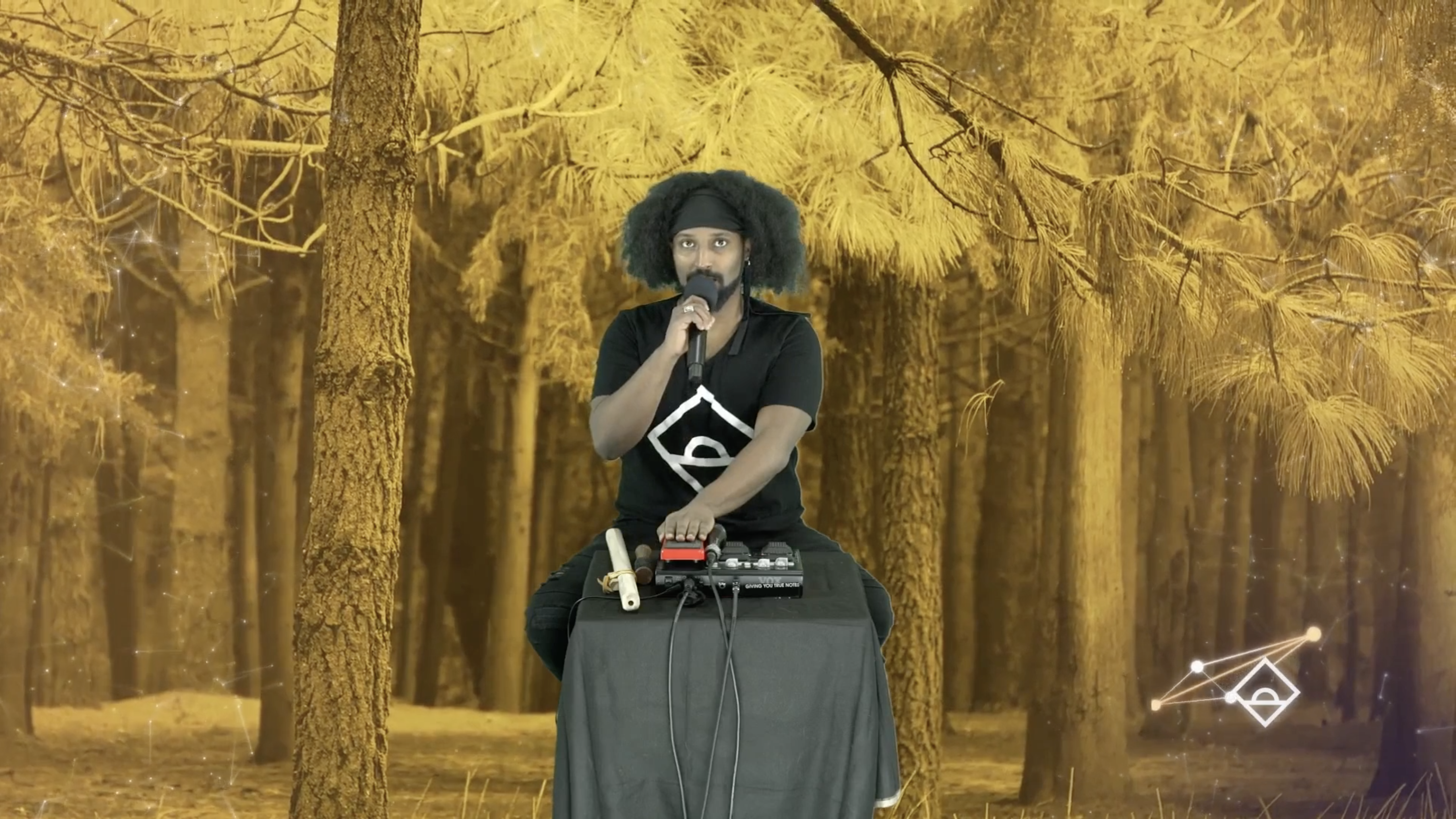 NEW | 11 Min Meditation with Haile | Gratitude | Serotonin