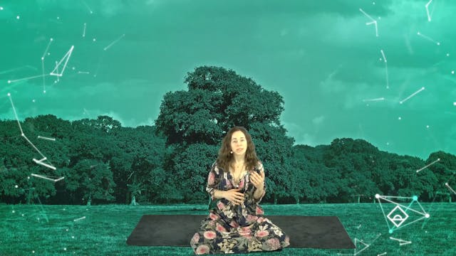 NEW | 22 Min Meditation with Ally | D...