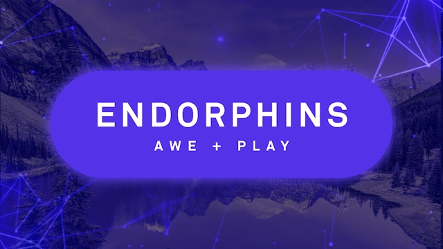 Endorphins: Awe + Play