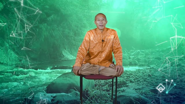 Day 13 | 15 Min Qigong with Mingtong ...