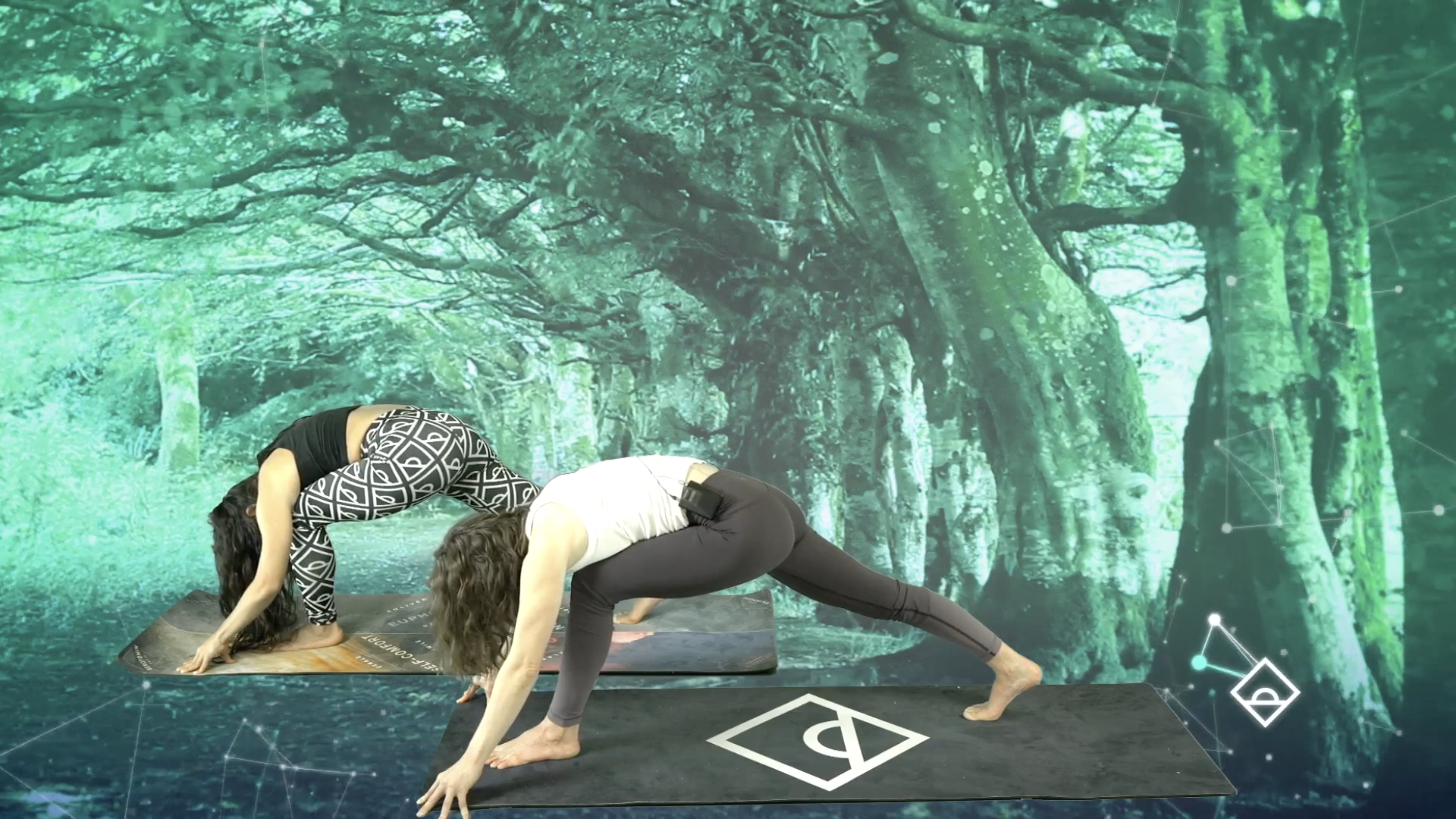 Yoga: Mind, Body, and Rehabilitation - StoryMD