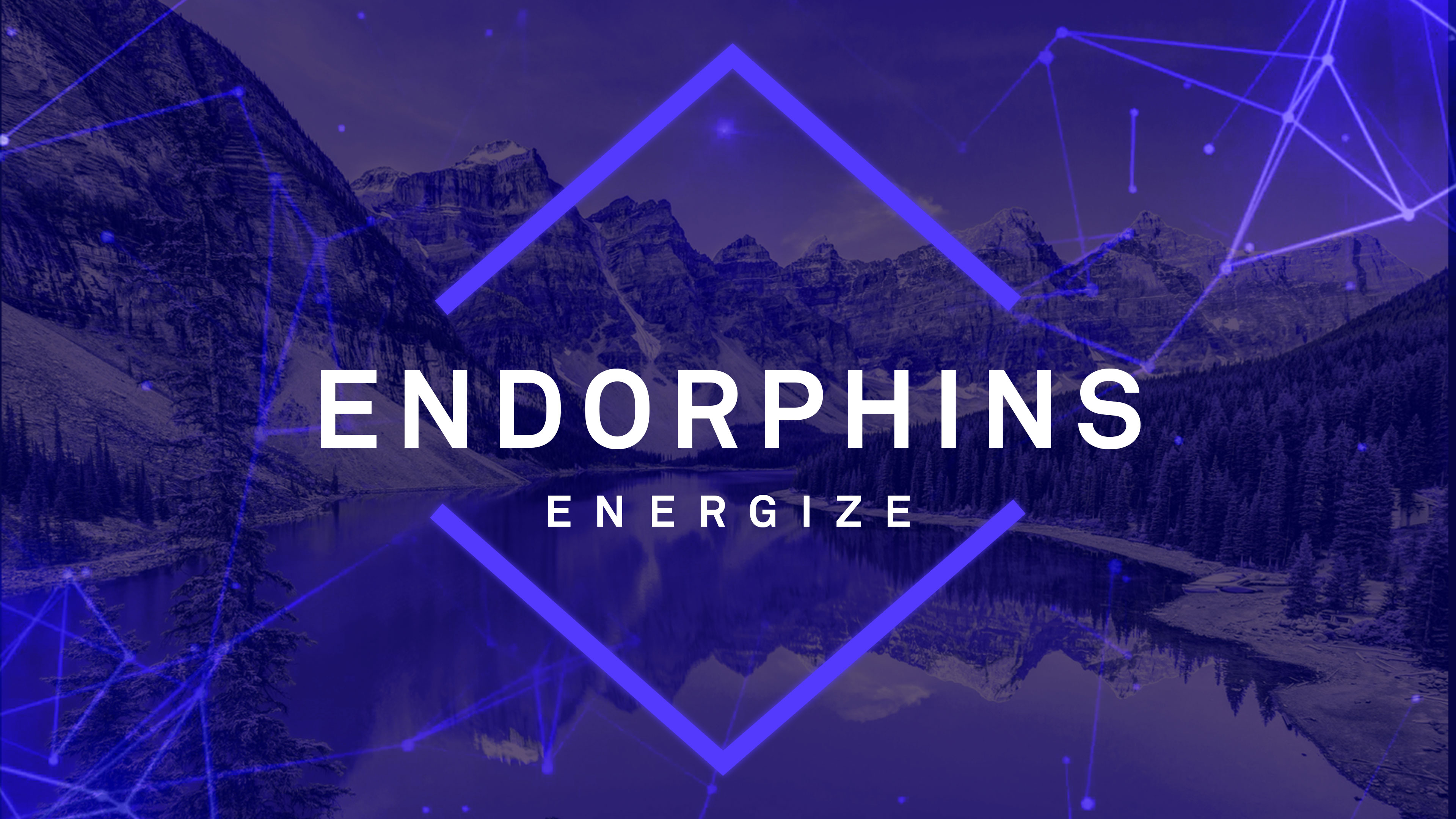 endorphin elite release date