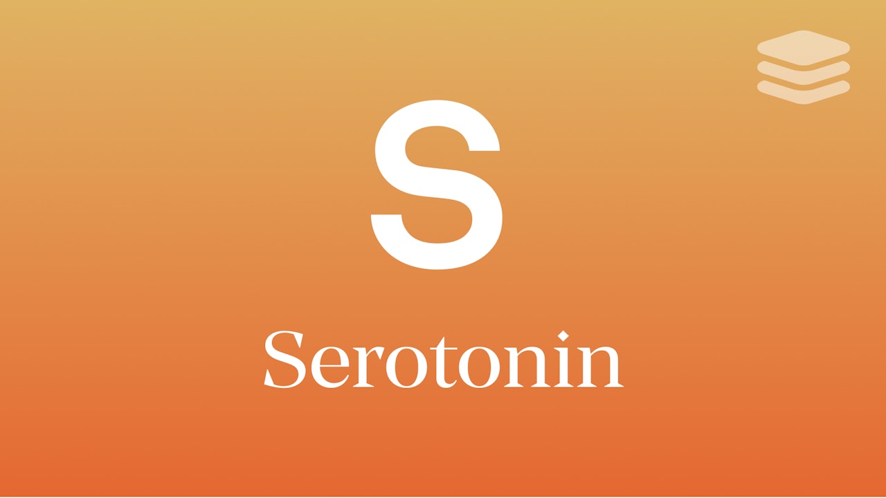 Serotonin: Gratitude + Kindness
