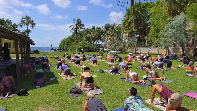 50 Min Yoga in Miami with Tiff Topia | Play | Dopamine