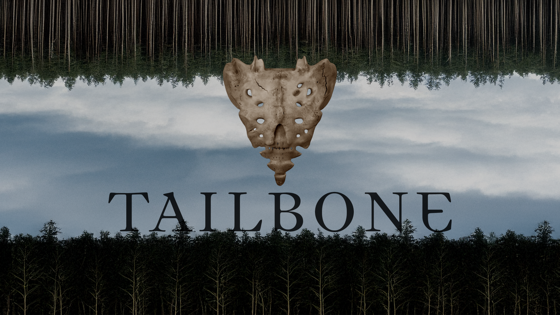 Tailbone