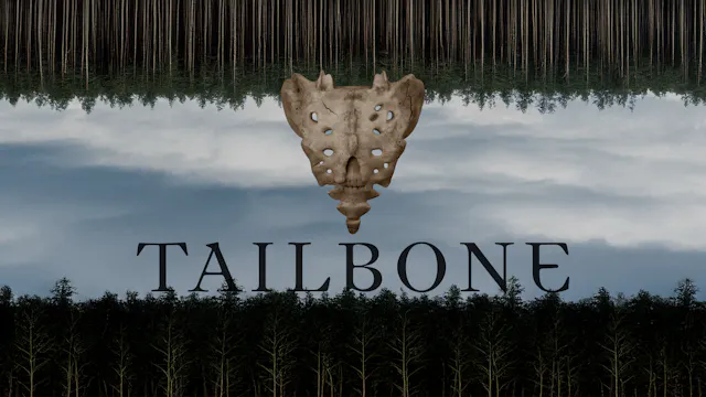 Tailbone