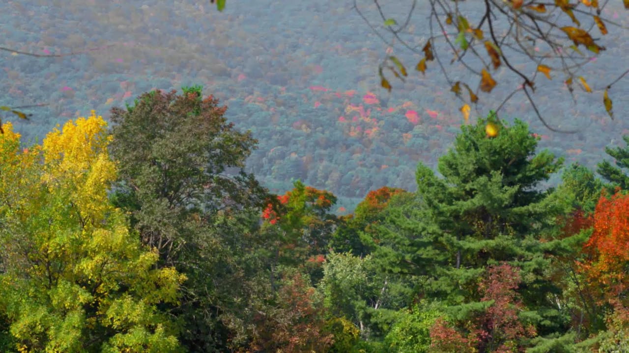 Reflections 312 Daystar TV reflections-312-daystar-tv