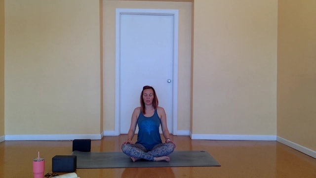 Slow Flow with Power and Strengthening with Ashley (video starts at :26)