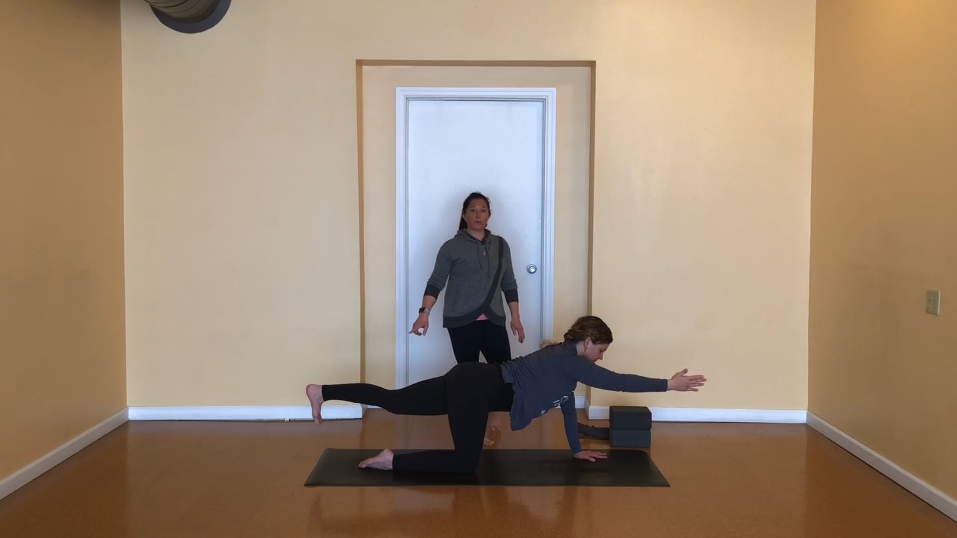 Beginner's Yoga Series - Full Class