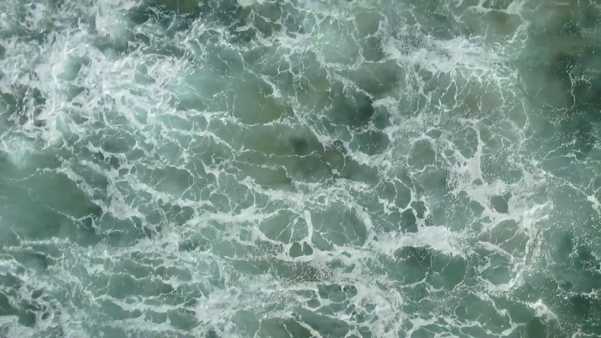 LES DOMPTEURS DE VAGUES