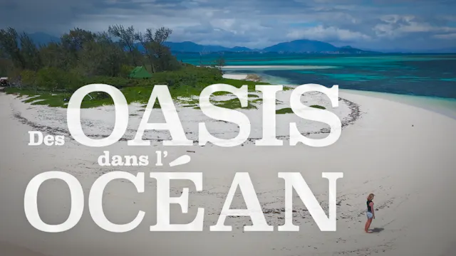 Des oasis dans l'océan