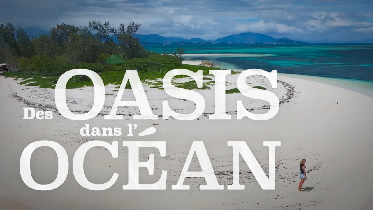 Des oasis dans l'océan