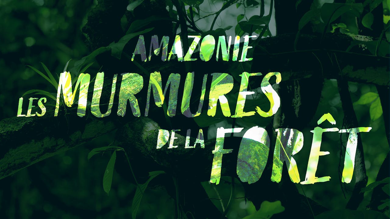Amazonie, les murmures de la forêt