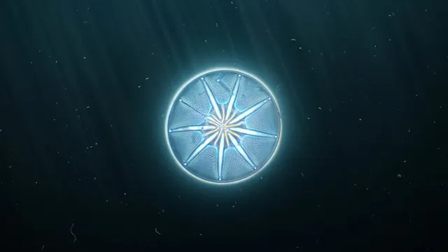 Des oasis dans l'océan