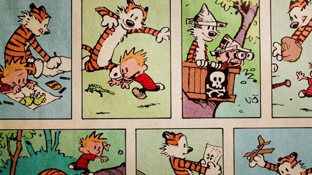 Another Calvin & Hobbes