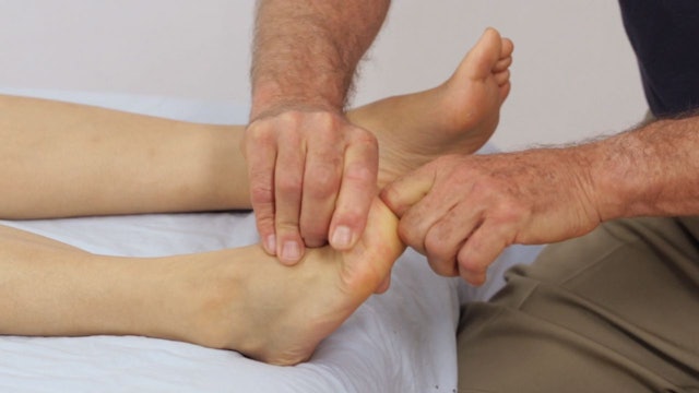 Deep Tissue Massage - An Integrated Full Body Approach: 22] Specific Strategies - Supine Position - Lower body