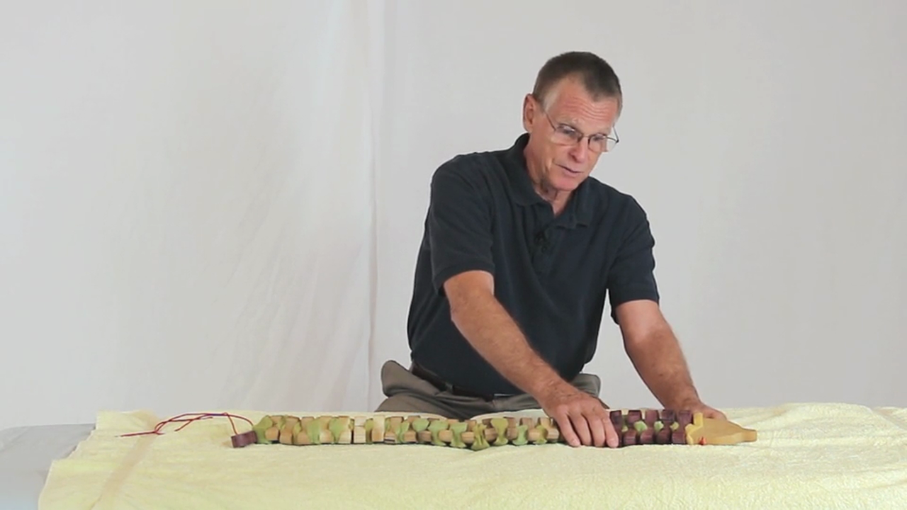 Deep Tissue Massage - An Integrated Full Body Approach: 15] Introduction To Vertebral Movement