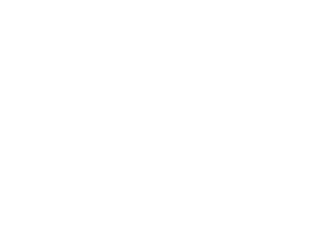 Defend Puerto Rico Impact Film Library