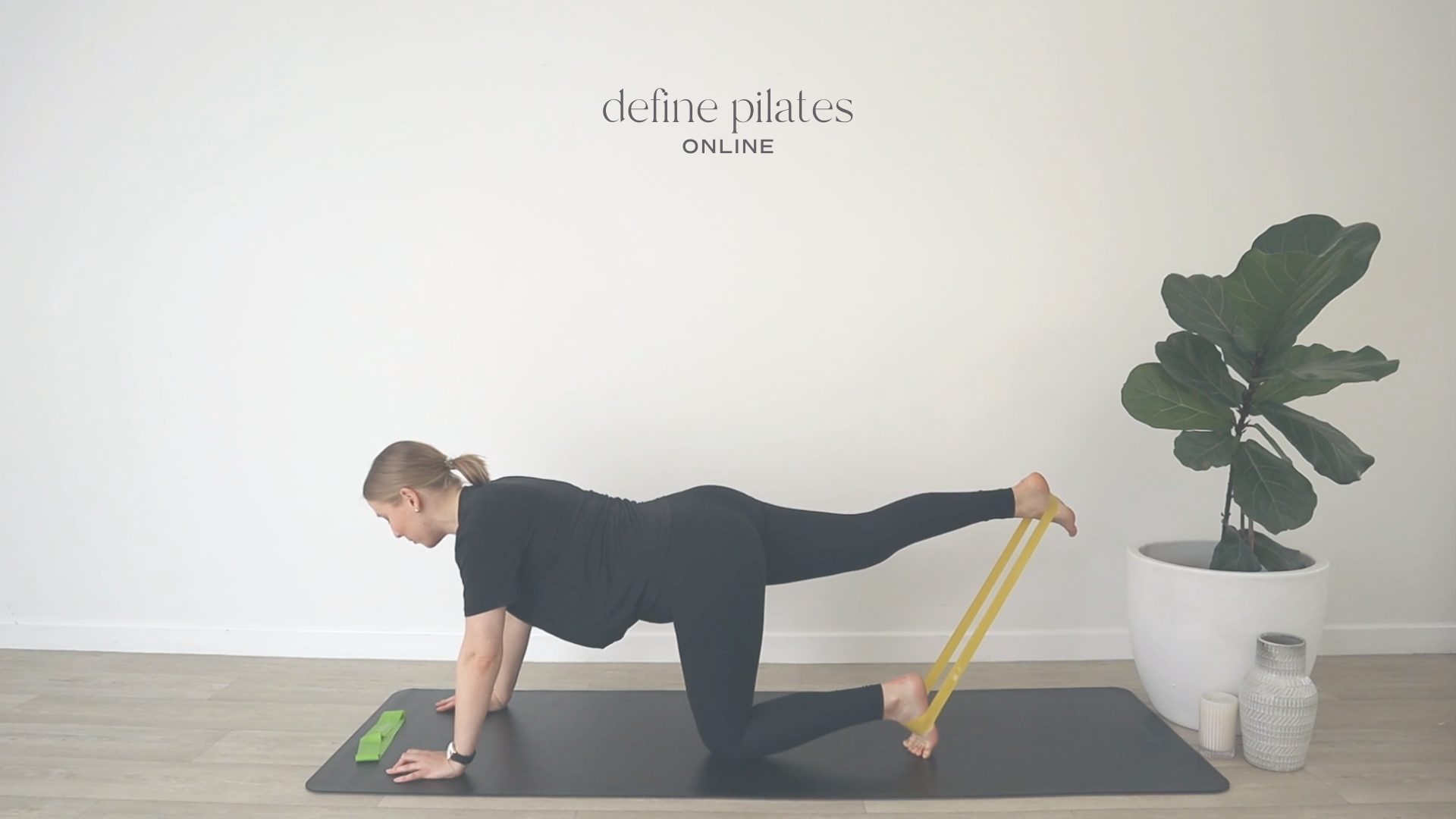 Total Body Workout 9 (Bands)