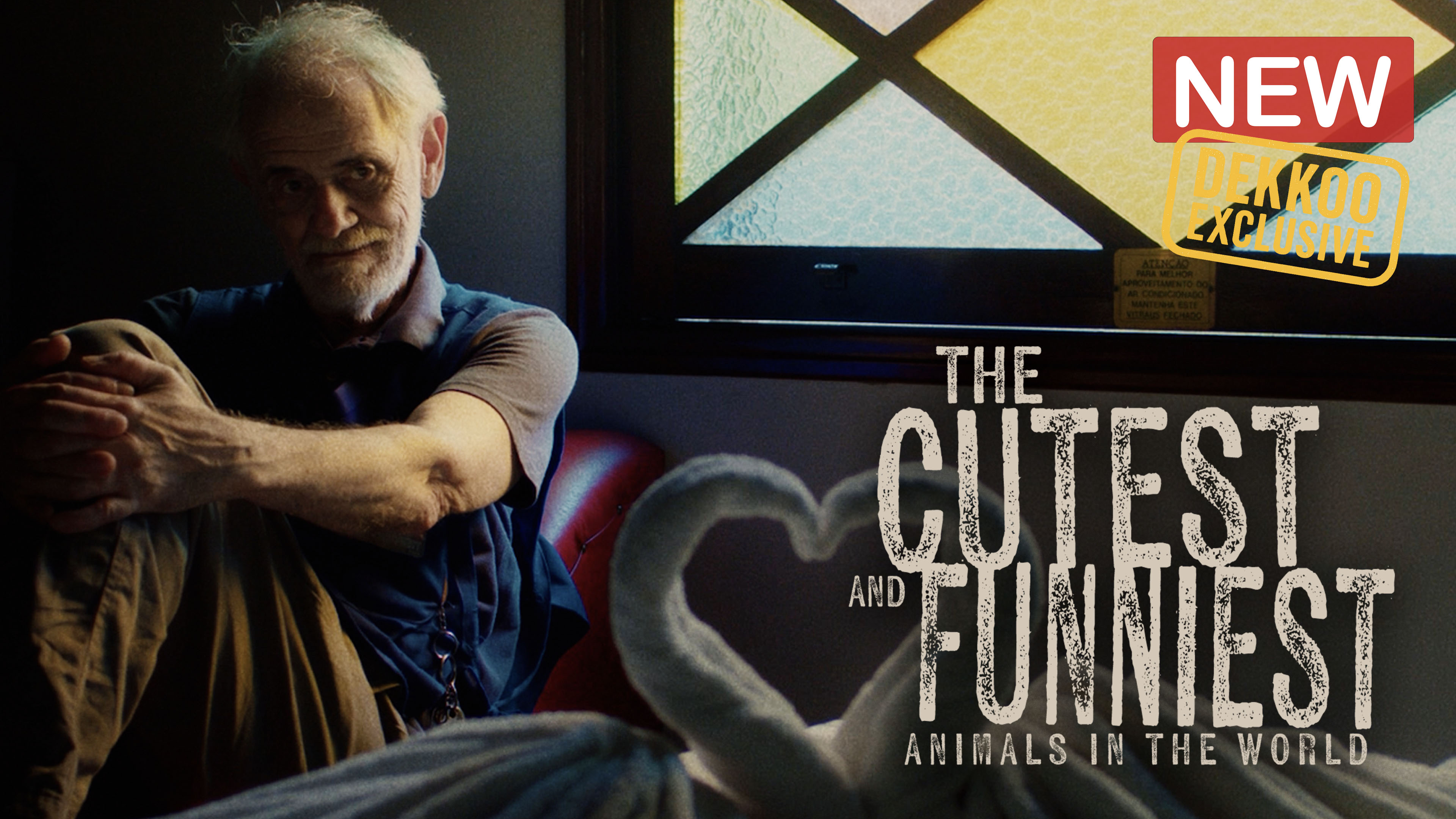 The Cutest and Funniest Animals In The World