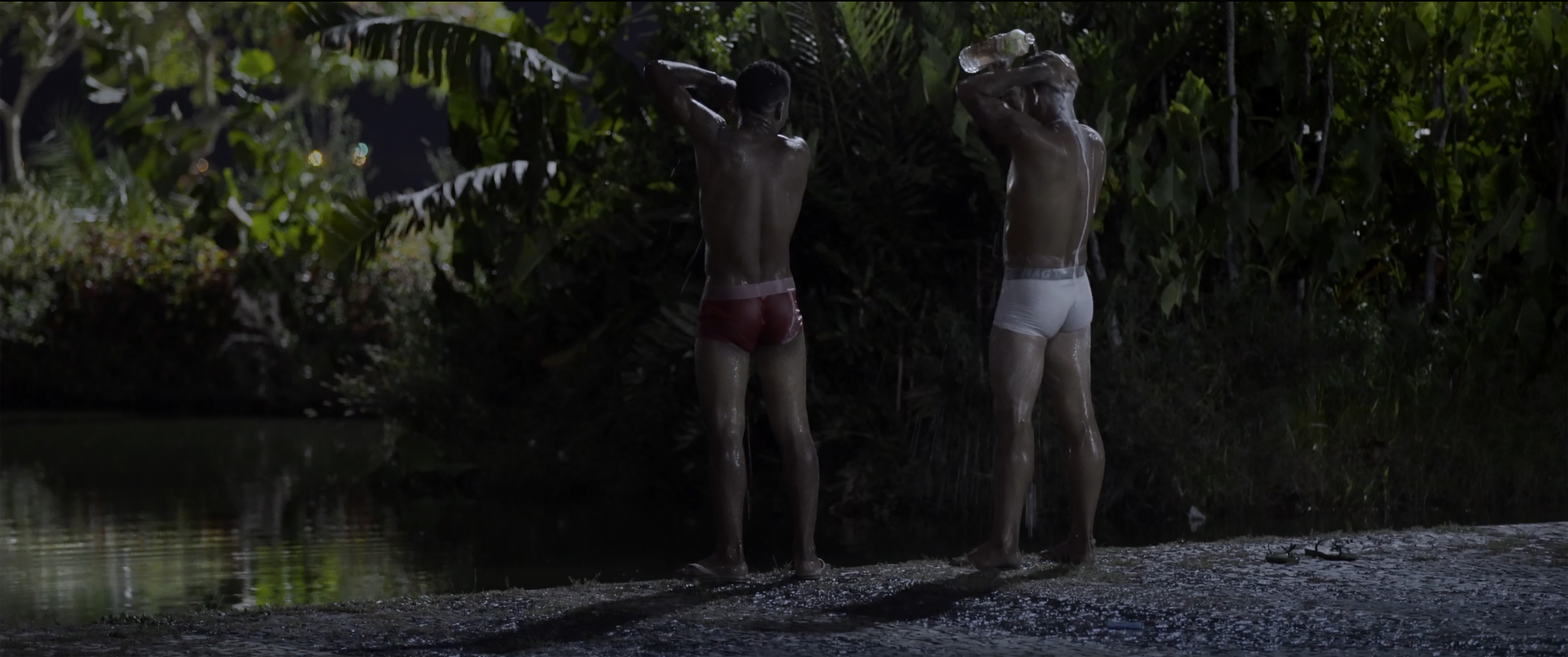 Fireflies (Vagalumes) - Trailer