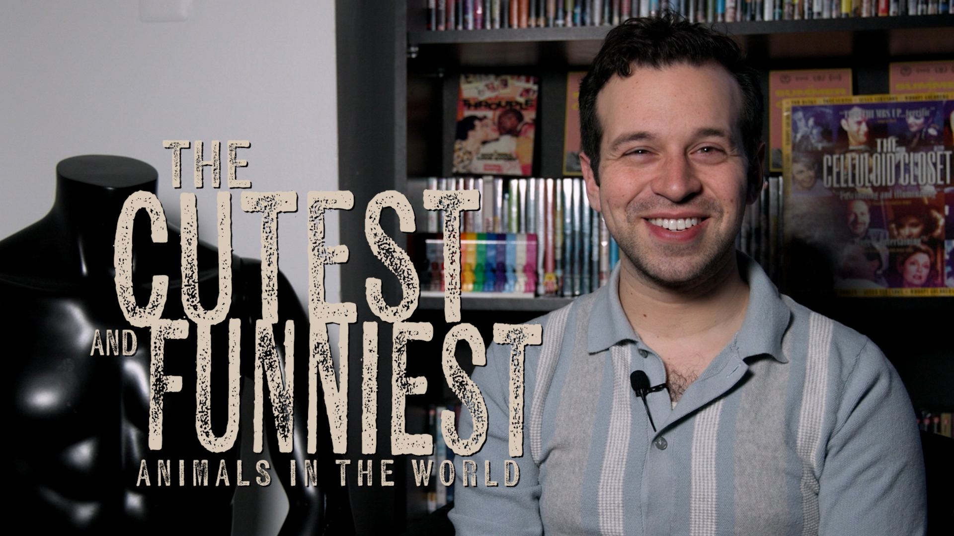 Dekkoo Presents: The Cutest and Funniest Animals in the World