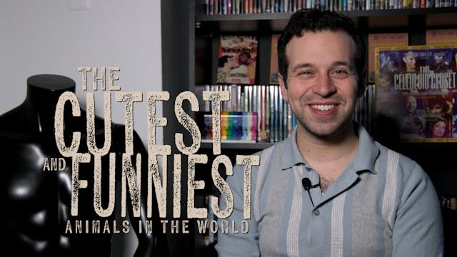 Dekkoo Presents: The Cutest and Funni...