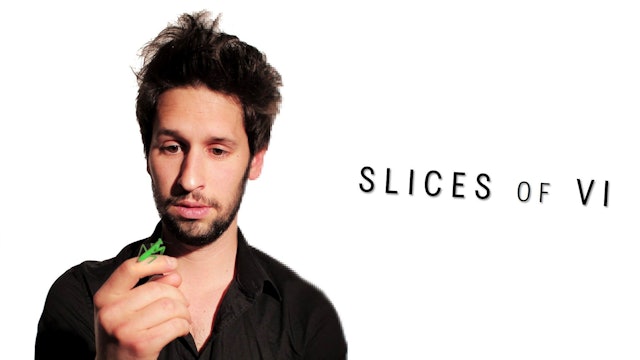 Slices of Vi