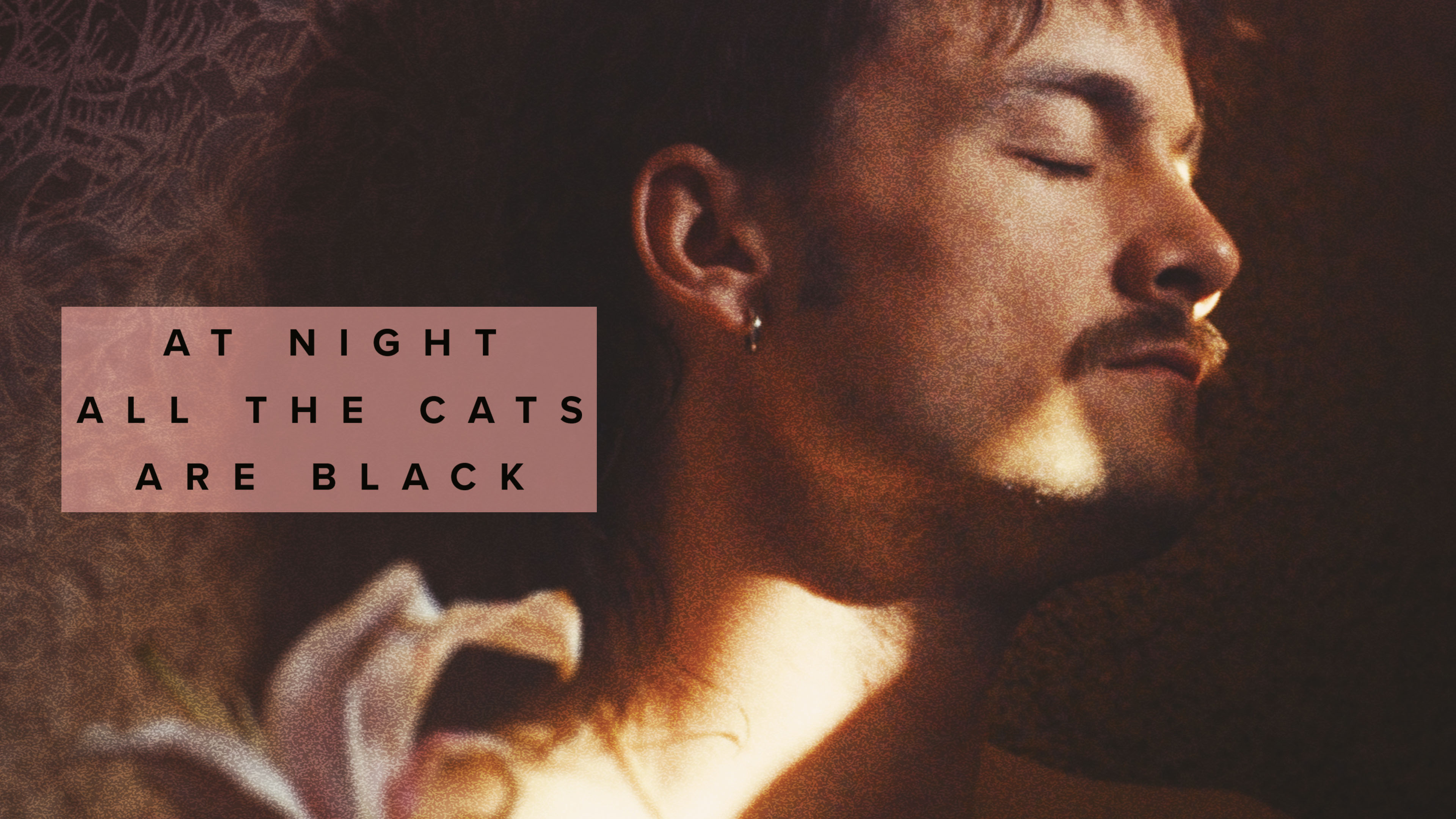 At Night All The Cats Are Black
