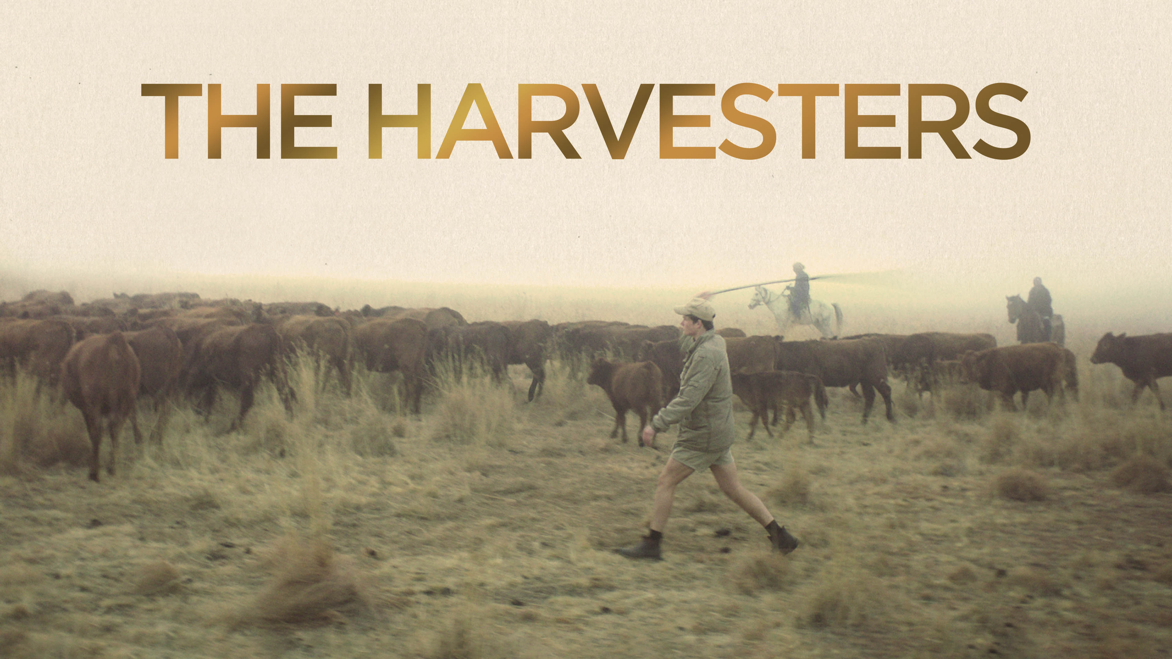 The Harvesters