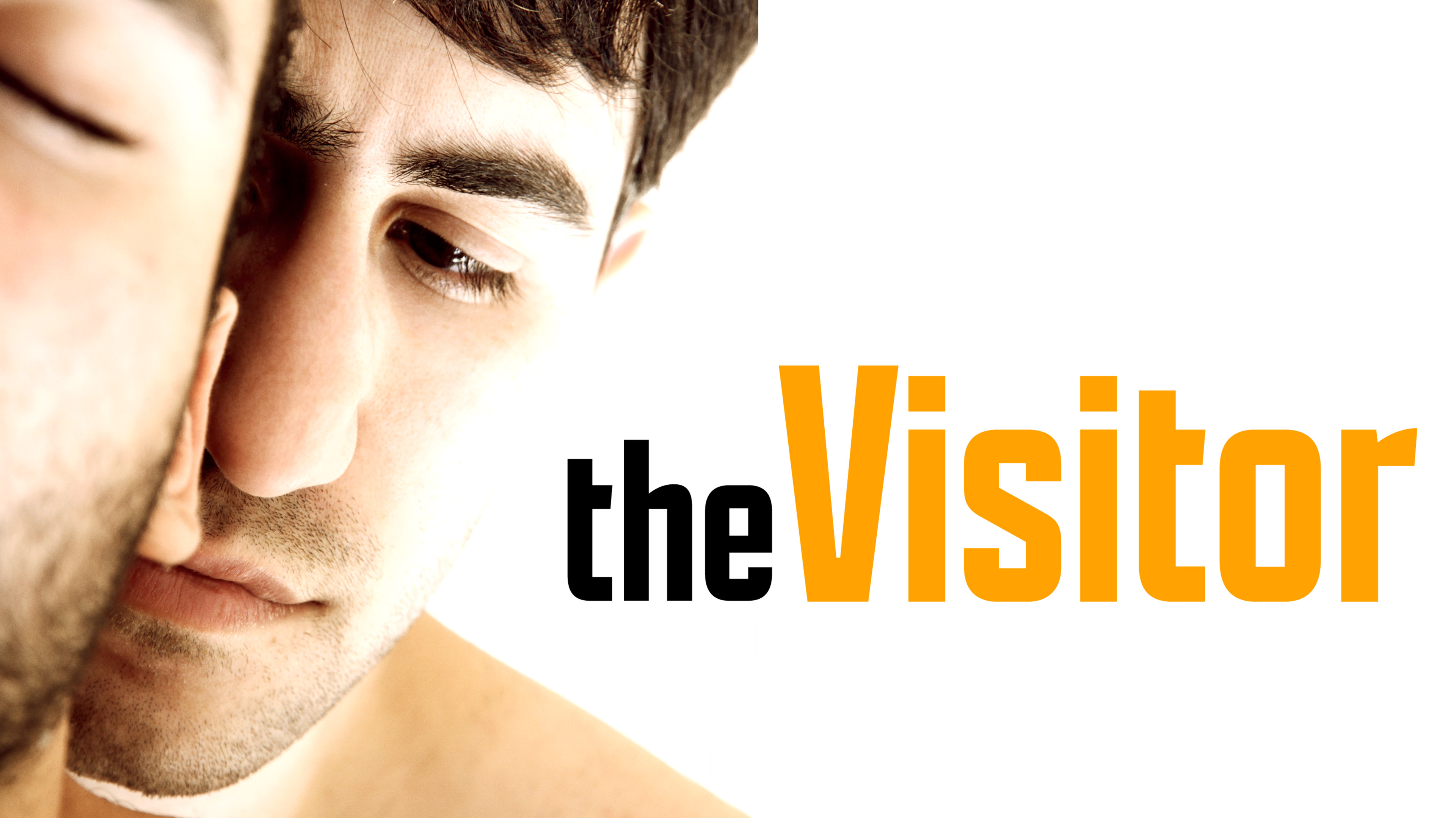 Visitor, The