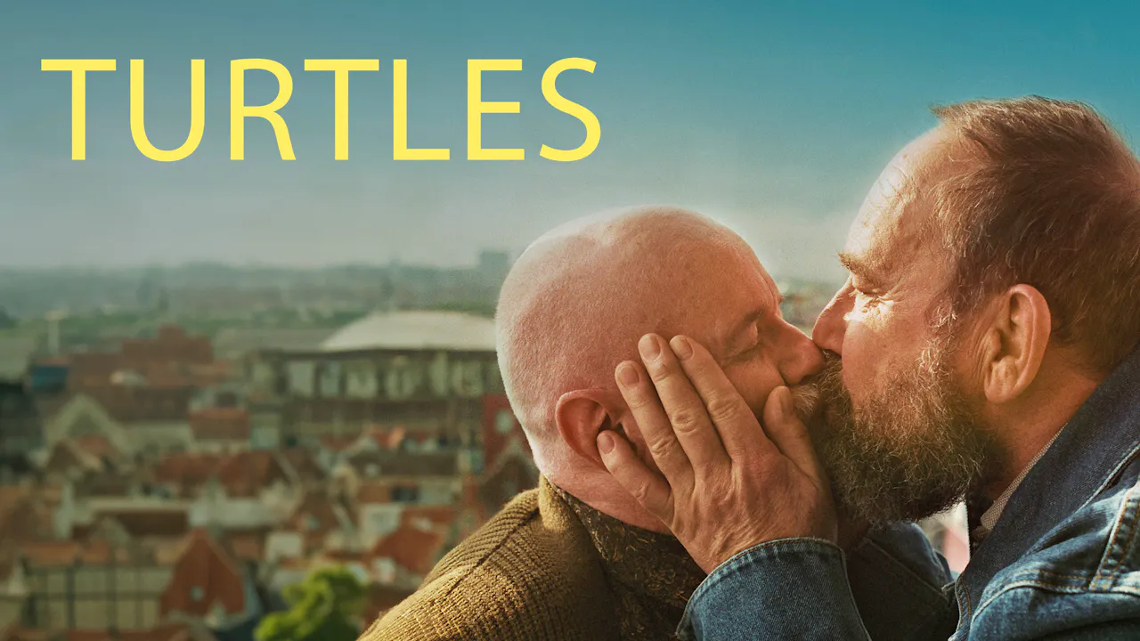 Turtles - Turtles - Dekkoo – Gay Cinema From Around the World | Stream ...