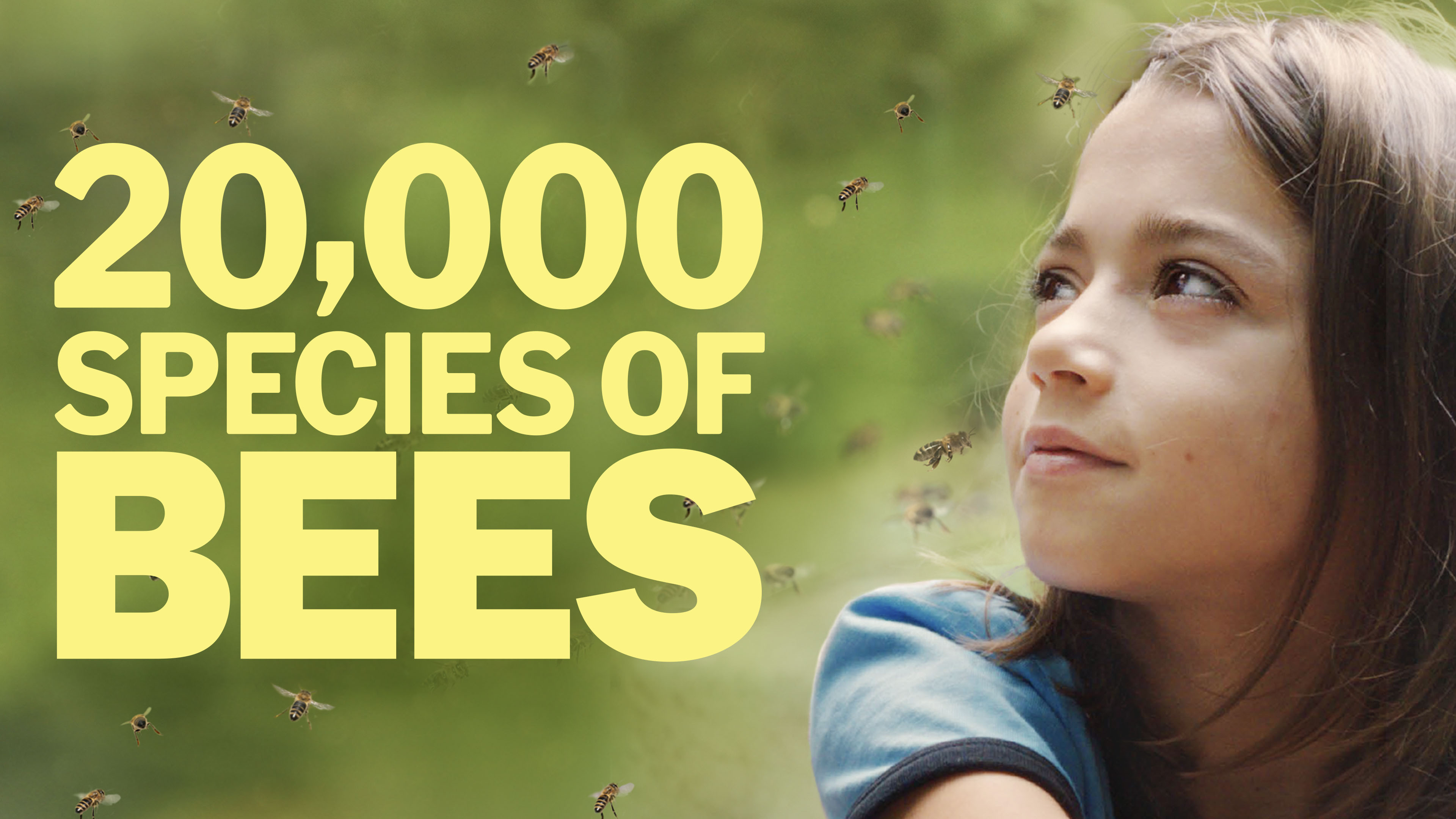 20,000 Species of Bees
