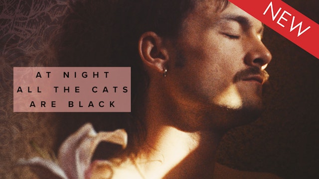 At Night All Cats Are Black