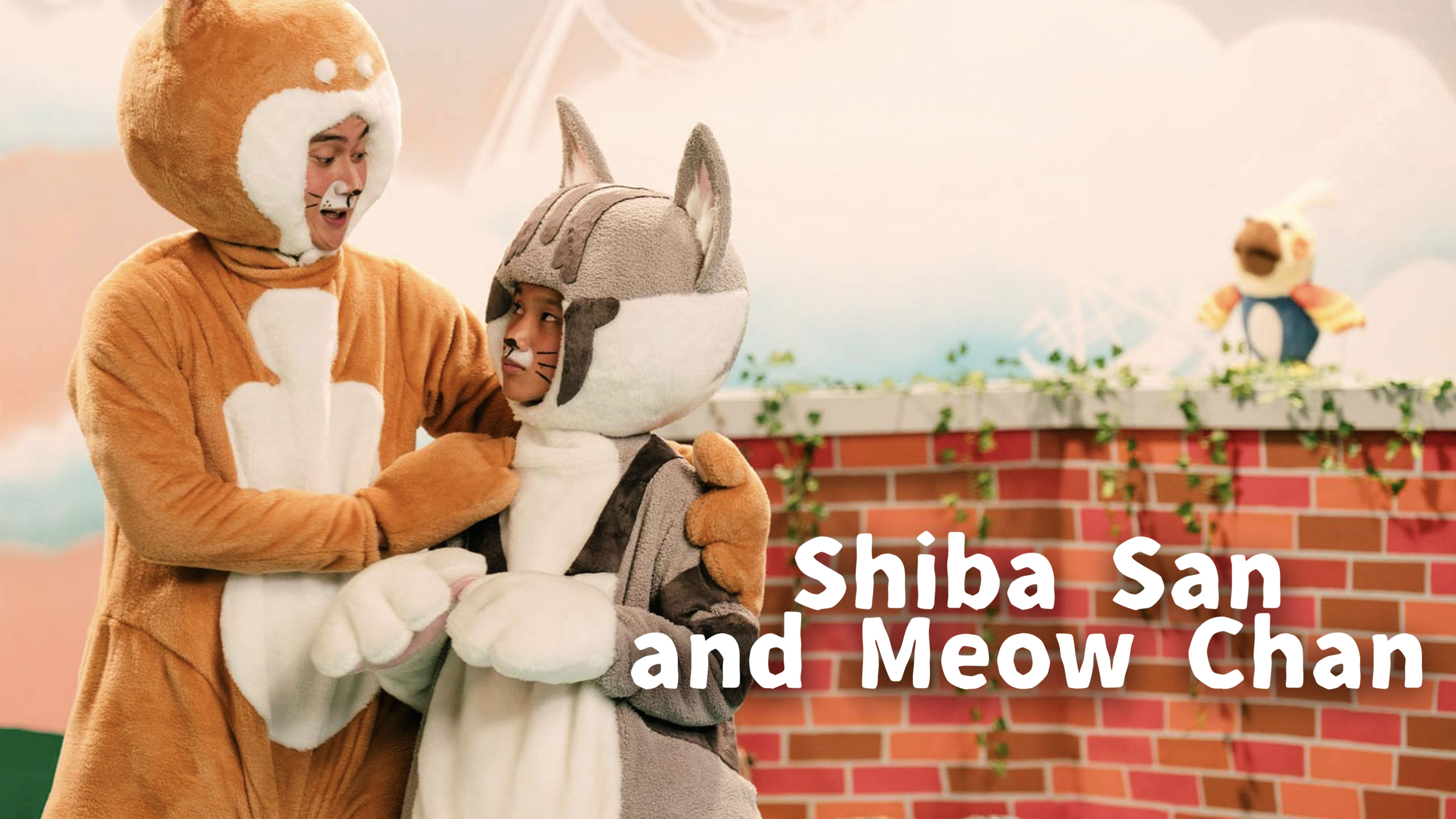 Shiba San and the Meow Chan