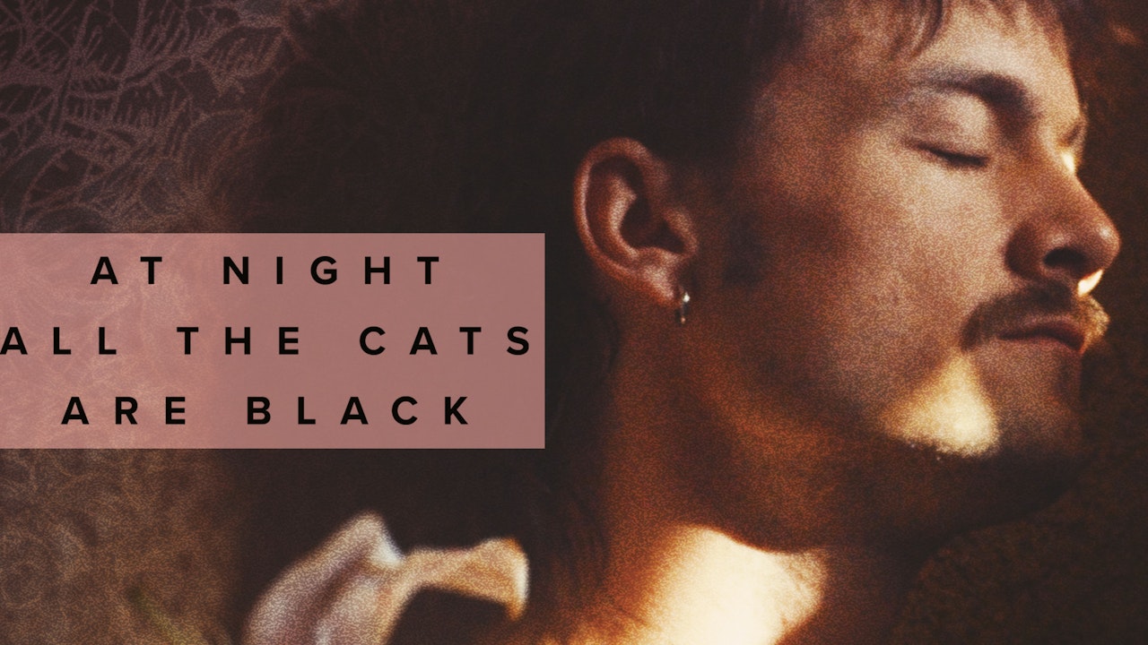 At Night All Cats Are Black