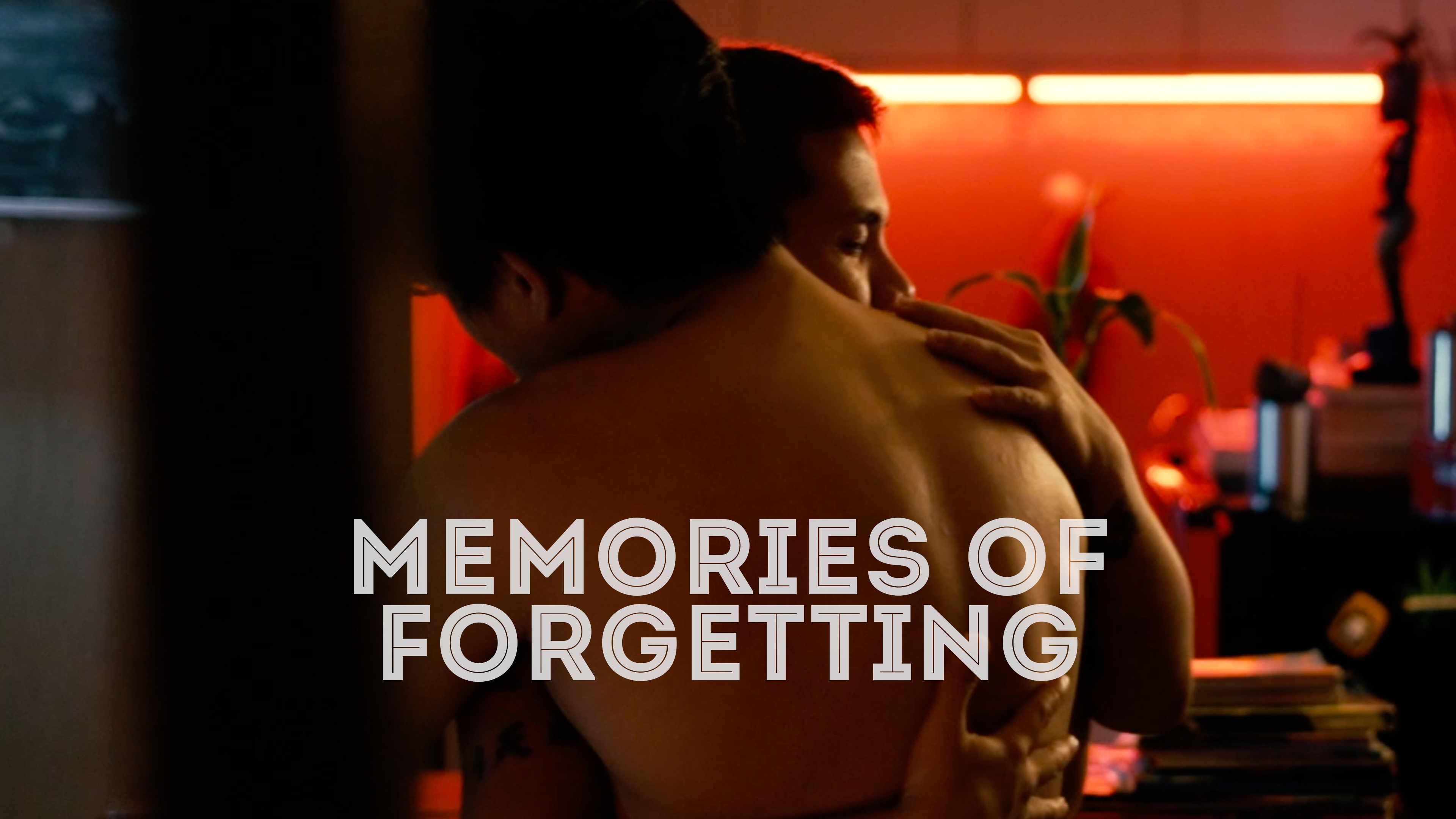 Memories of Forgetting